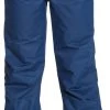 Roxy Girls' Diversion Snow Pants For Girls' Pansy