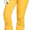 Roxy Women's Backyard Snow Pants For Women Golden Rod